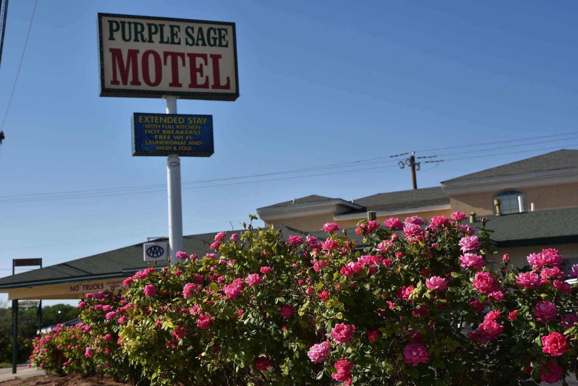 Purple Sage By Oyo Snyder Tx Motell Exteriör bild